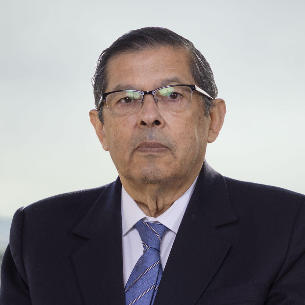 Ramón Domínguez Águila